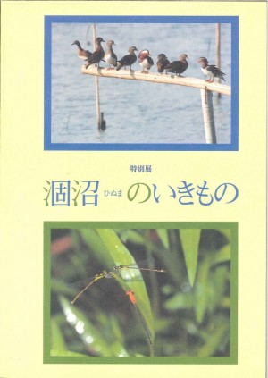 hinuma