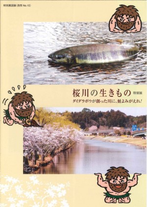 sakuragawaguide
