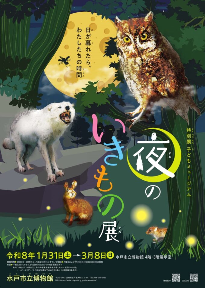 夜のいきもの展ポスター
