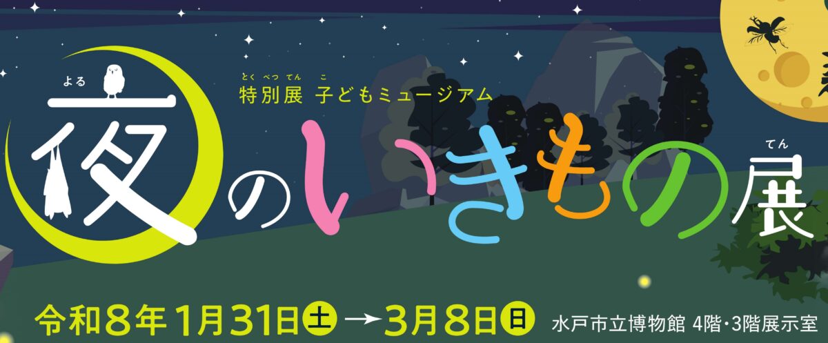 夜のいきもの展フロントバナー
