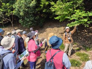 R7植物観察会の様子