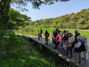 R7植物観察会の様子
