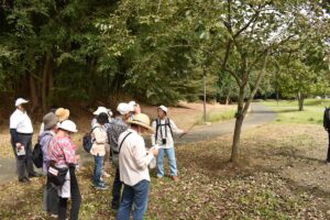 R7秋の植物観察会