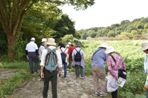 R7秋の植物観察会